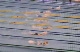 100 Fly-Japan...Lane 7